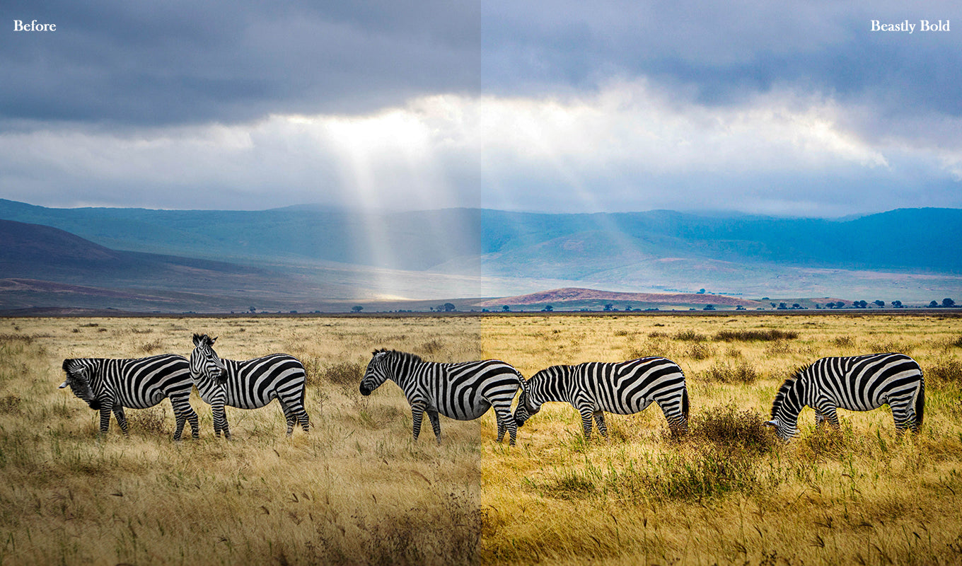 20 Wildlife Presets for Lightroom & Photoshop