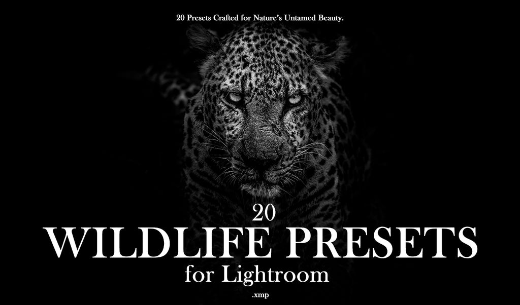 20 Wildlife Presets for Lightroom & Photoshop
